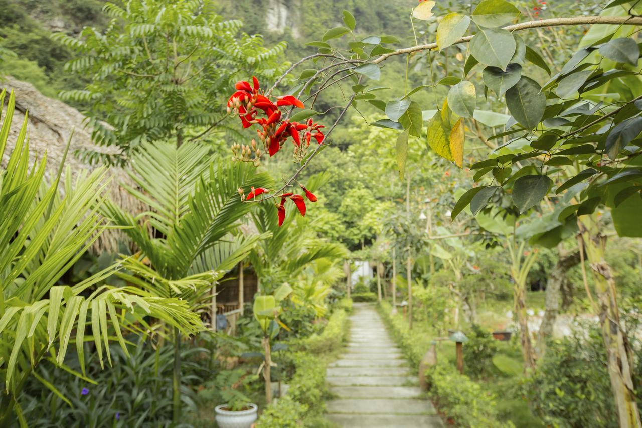 Tam Coc Rice Fields Resort Ninh Binh Exterior photo